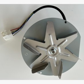 Rggasmotor til Ecoteck / Ravelli